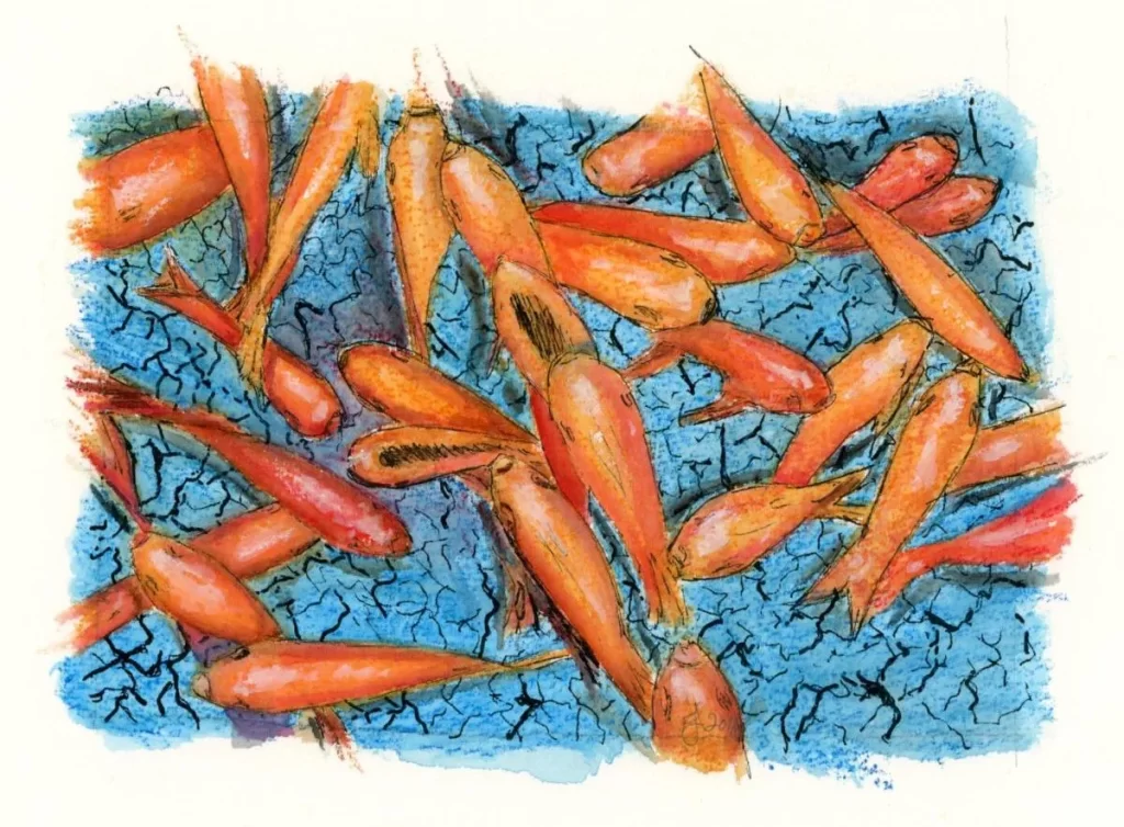 GOLD FISH IN BLUE BOWL