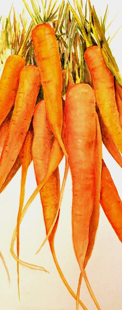 Carrots