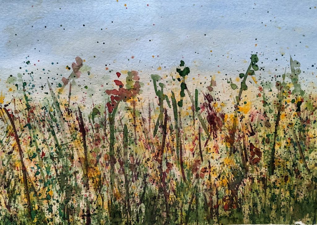 WILD MEADOW IN EARLY SPRING